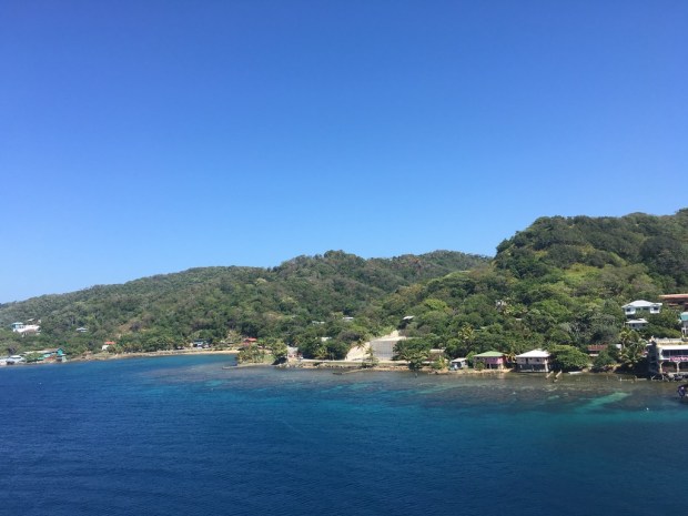 img_2256_zpsdslp8g1q