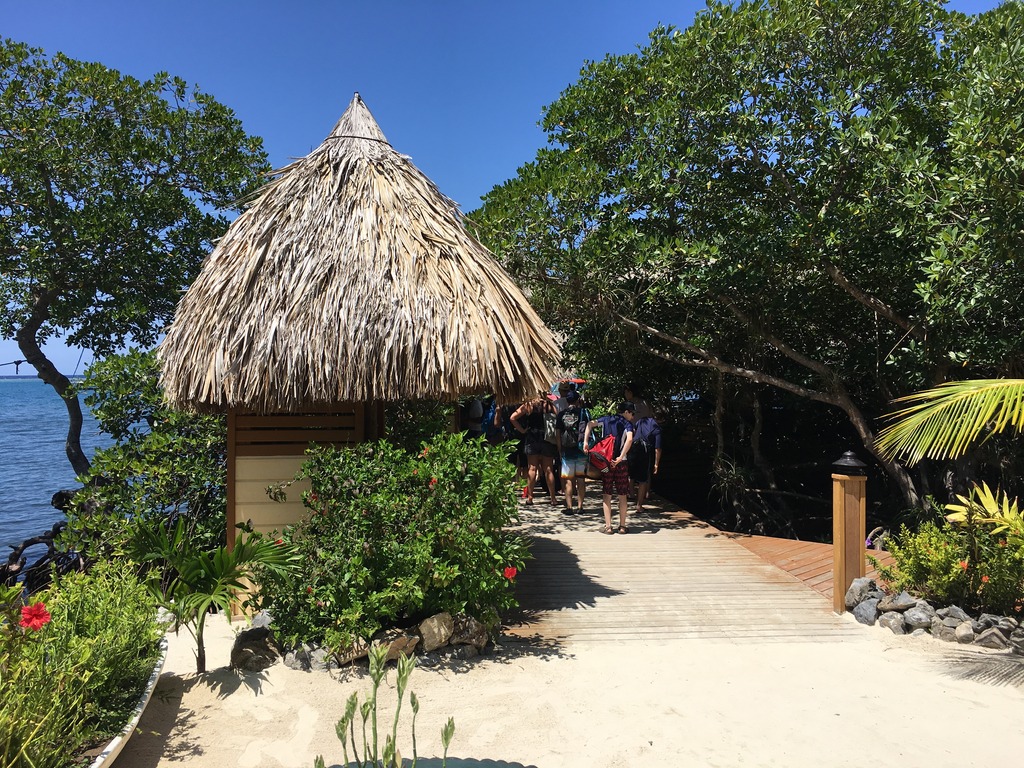 img_2259_zpstqwzwa4a