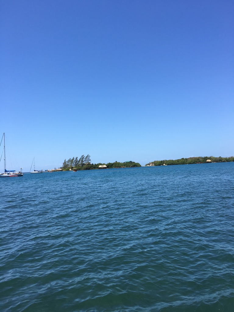 img_2260_zpselonon3k