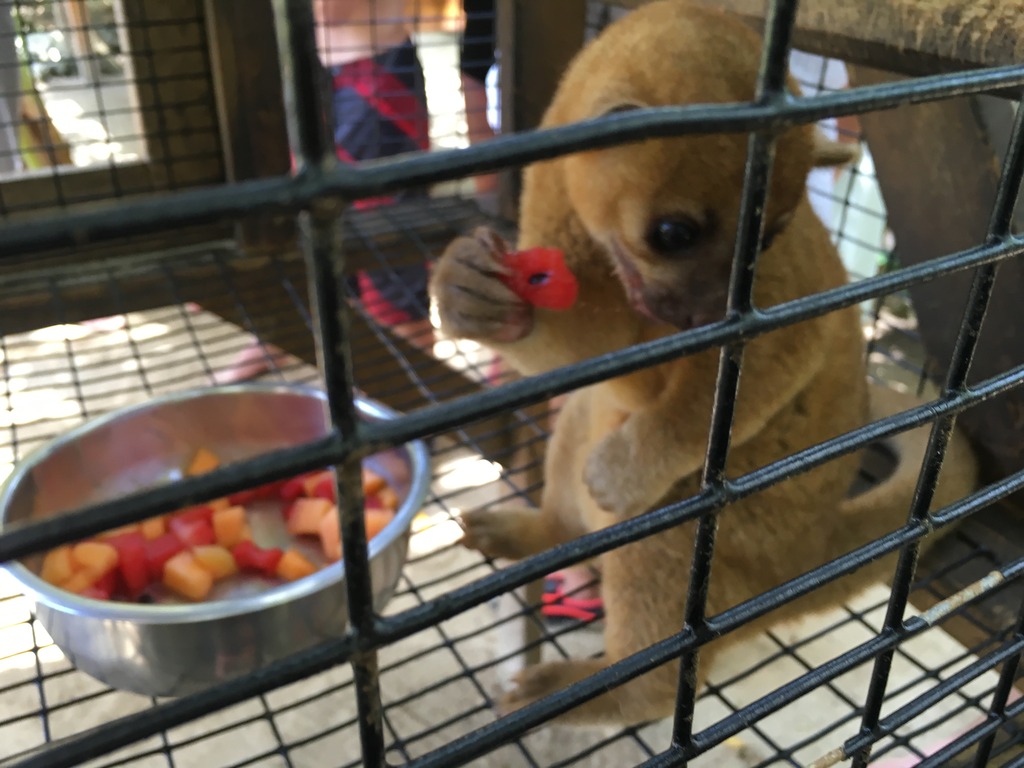 img_2298_zpshakmk3xr