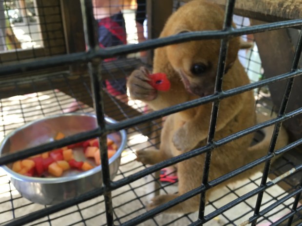 img_2298_zpshakmk3xr