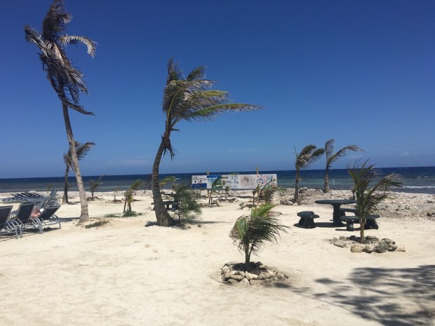 img_2338_zpsp1ol3vpv