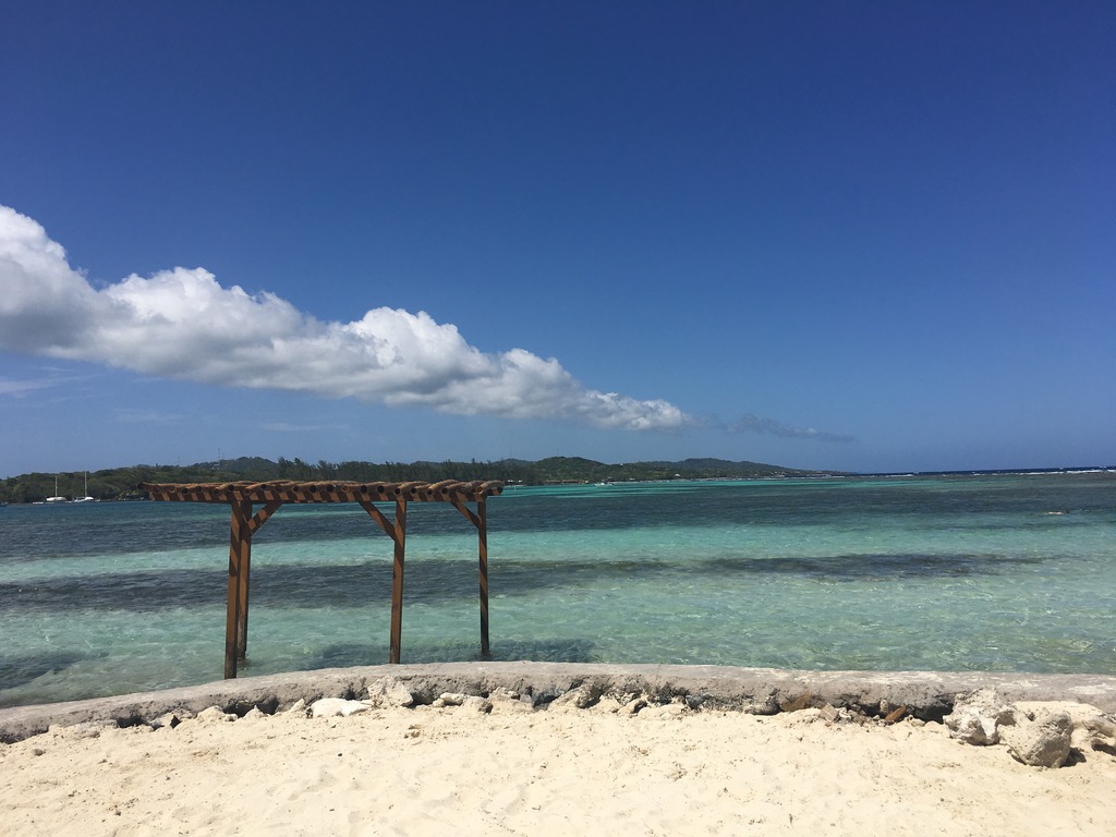 img_2342_zpscemdwv0b