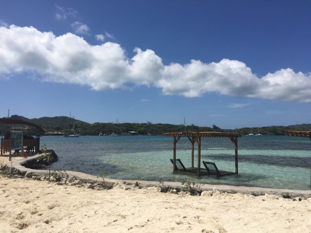 img_2343_zpstsn9rwpe