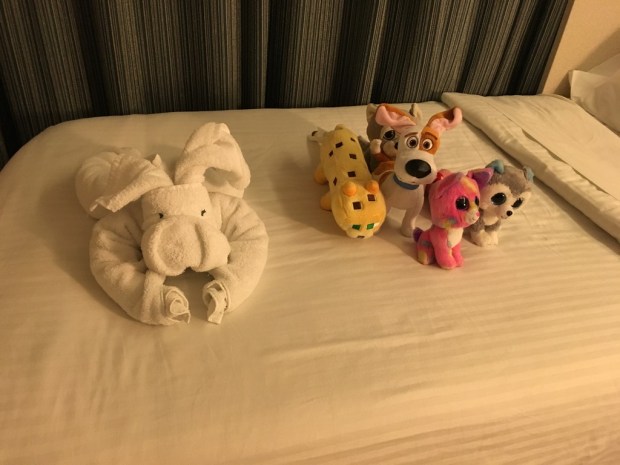 img_2378_zpsy2fiwrcb