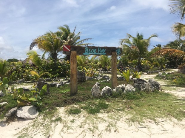 img_2397_zpsrawgermm