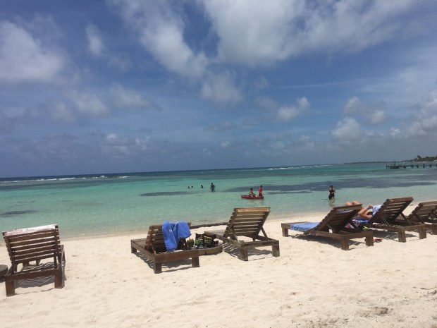 img_2399_zpssplhmzrv