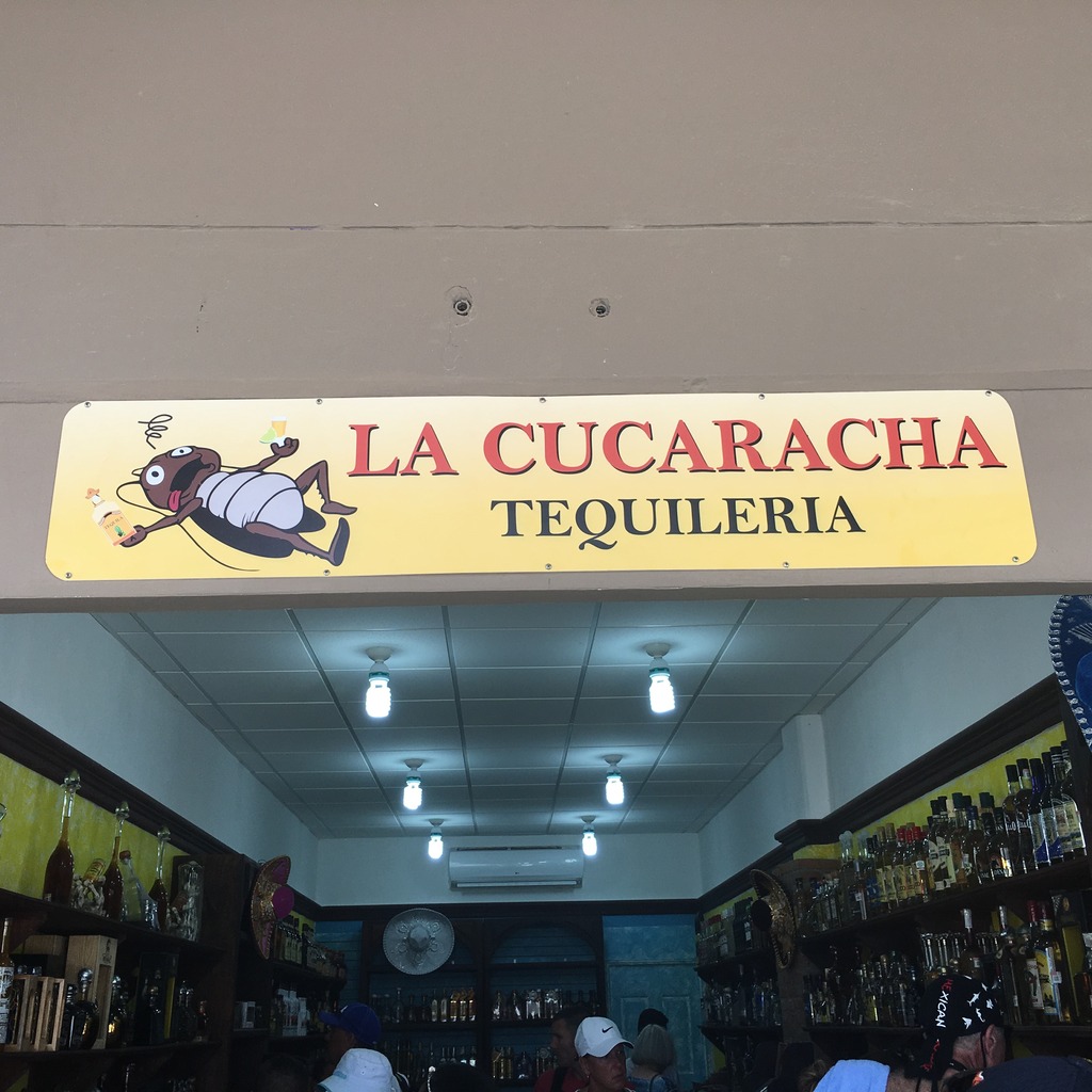 img_2409_zpsayp97bvp